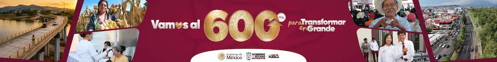 600 DÍAS