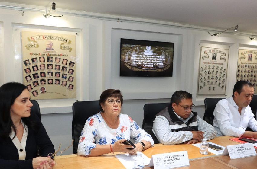  Aprueban Comisiones del Congreso proyecto de dictamen para tipificar la zoofilia