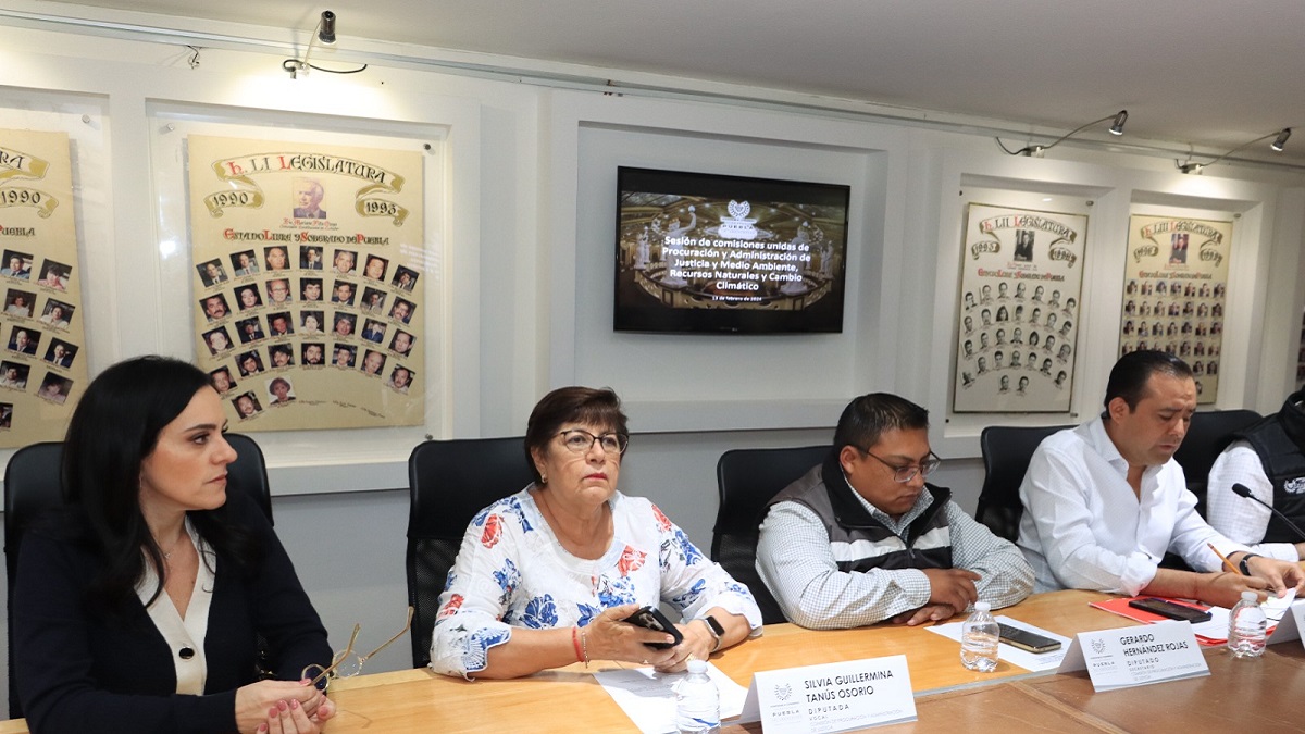 Aprueban Comisiones del Congreso proyecto de dictamen para tipificar la zoofilia