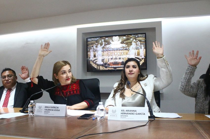  Avalan en Comisión del Congreso acuerdo para que universidades incorporen la materia de Derecho Parlamentario