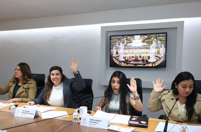  Comisión del Congreso aprueba exhorto para que la SEP sensibilice sobre la importancia del Día Internacional de la Mujer