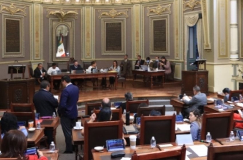  Congreso del Estado de Puebla tipifica la zoofilia; aprueba reformas en materia de bienestar animal