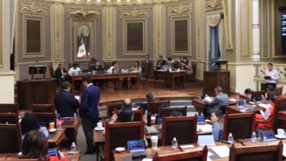 Congreso del Estado de Puebla tipifica la zoofilia; aprueba reformas en materia de bienestar animal