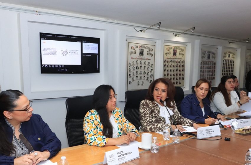  Presentan en Comisión del Congreso proyecto de Convocatoria para el proceso de consulta en materia de salud mental