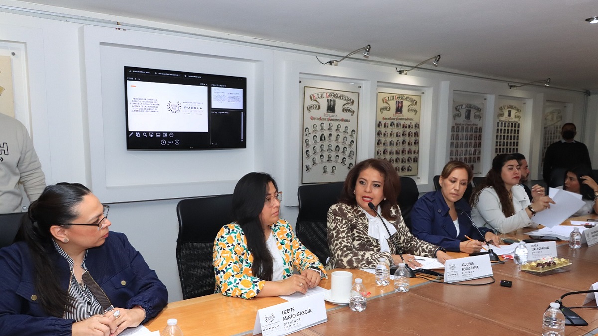 Presentan en Comisión del Congreso proyecto de Convocatoria para el proceso de consulta en materia de salud mental