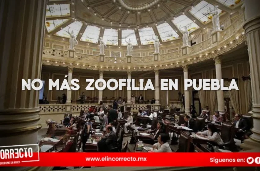  Aprueban en comisiones sanciones con 4 años de cárcel por zoofilia en Puebla