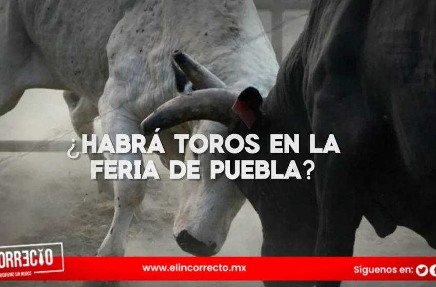  ¿Habrá corridas de toros en la Feria de Puebla? Esto dijo el gobernador