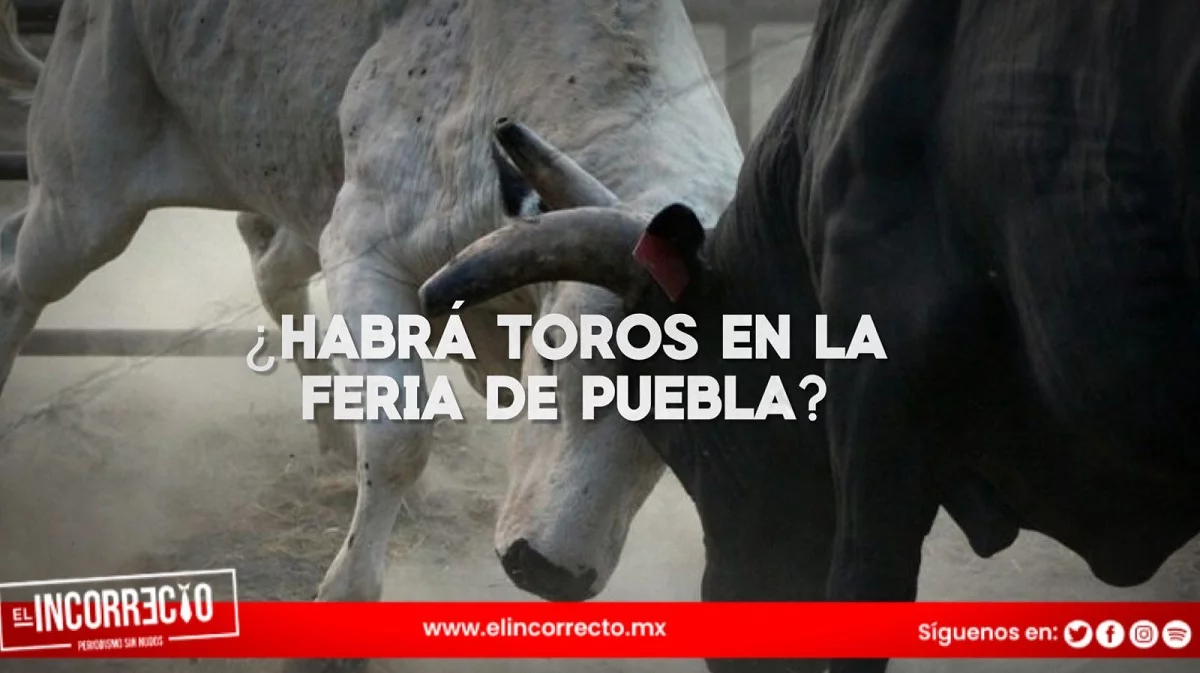 ¿Habrá corridas de toros en la Feria de Puebla? Esto dijo el gobernador