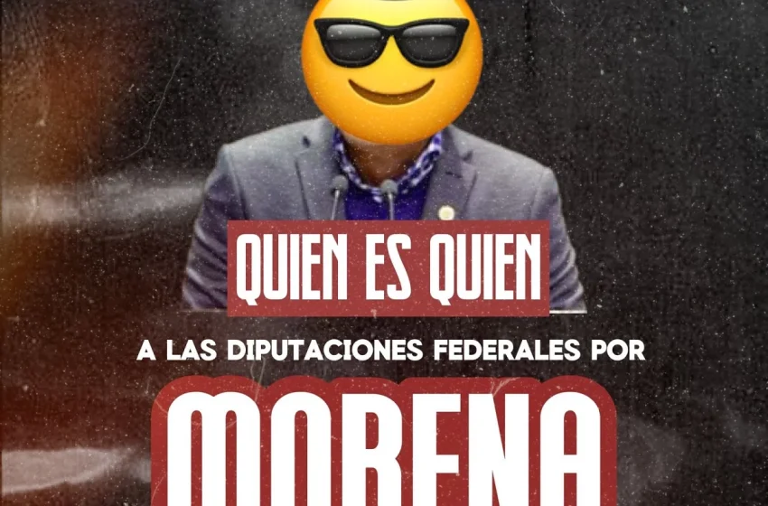  La radiografía de los candidatos a diputados federales de Morena