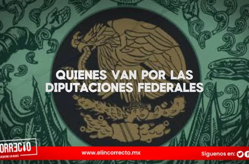  ¿Qué grupos se quedaron las diputaciones federales en Morena?