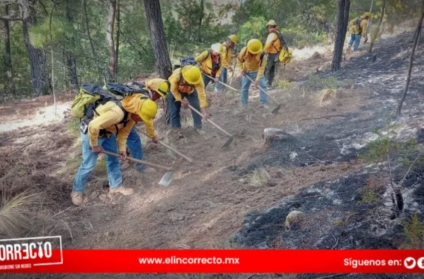  Controlan incendios forestales en Ixtacamaxtitlán y Vicente Guerrero