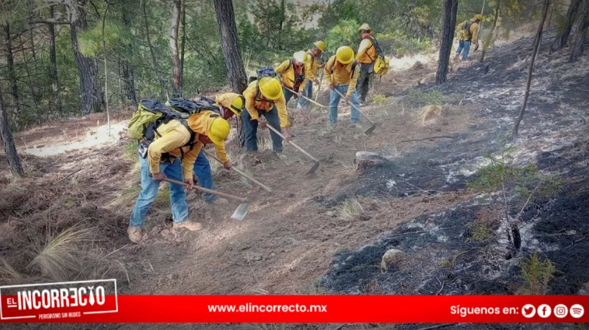 Controlan incendios forestales en Ixtacamaxtitlán y Vicente Guerrero