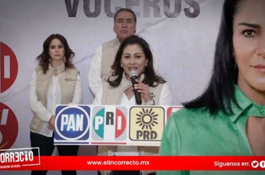  Nadia Navarro quiere traer a Lydia Cacho para que opine contra Morena y le recuerdan su pasado marinista