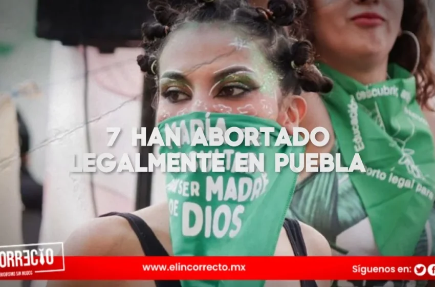  Siete mujeres han abortado legalmente en Puebla: Segob