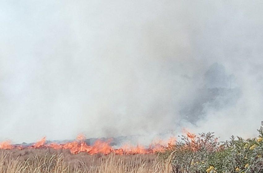  Gobierno envía nueva brigada de Bomberos para sofocar incendio en Ixtacamaxtitlán