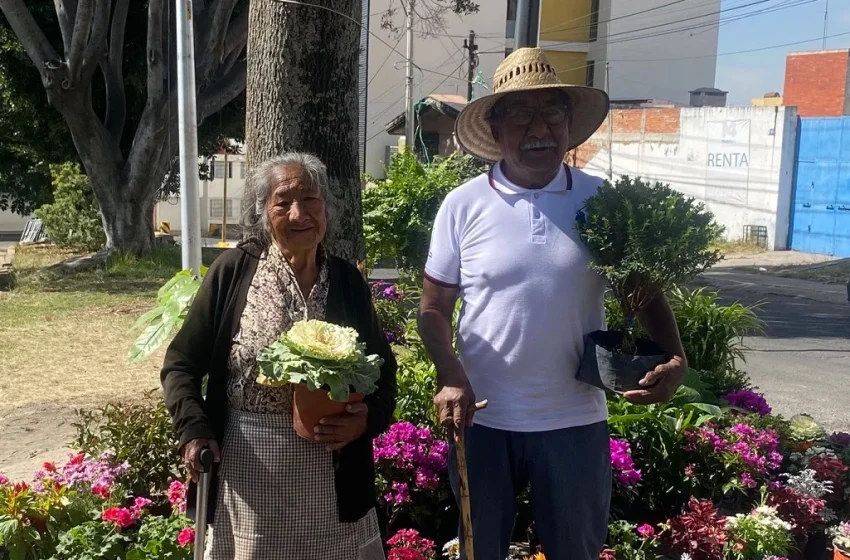  Pareja de adultos mayores vende flores para sobrevivir en Puebla (+FOTOS)