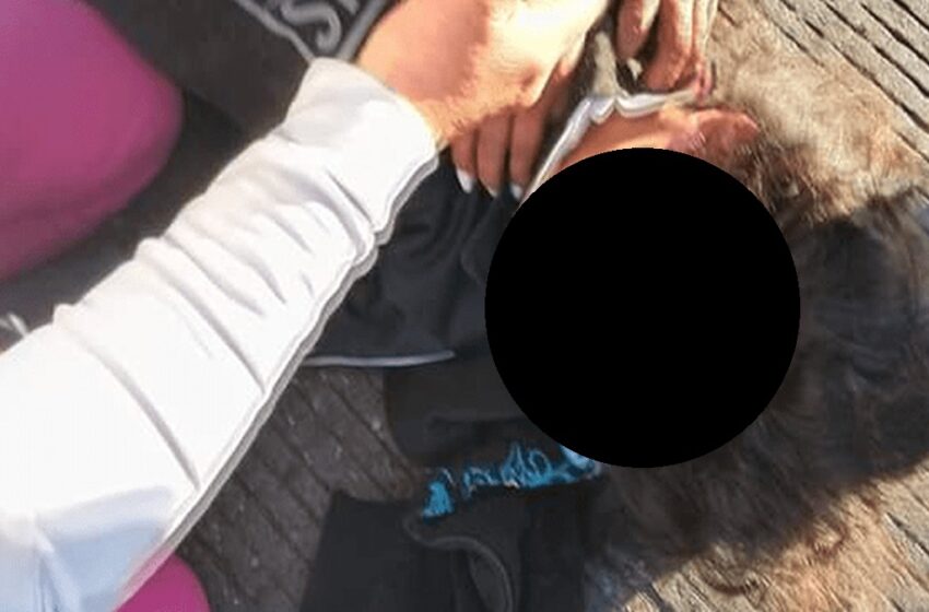  ¡Tragedia en Amozoc! Estudiante atropellada en la Puebla-Tehuacán; conductor escapa
