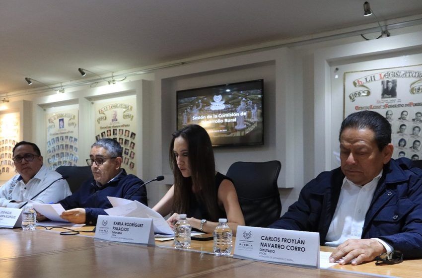  Aprueban en Comisión del Congreso acuerdo para promover programas de apoyo a productores de naranja