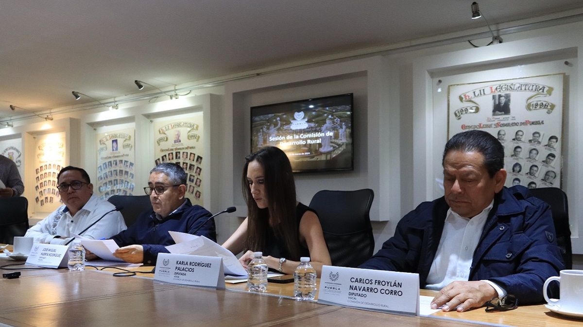 Aprueban en Comisión del Congreso acuerdo para promover programas de apoyo a productores de naranja
