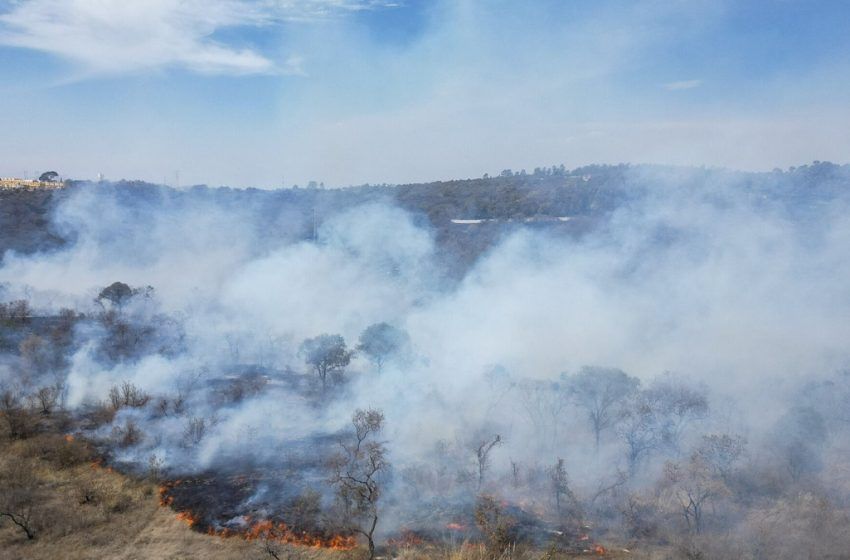  Brigadas de Zacatlán y Ahuazotepec atienden incendio forestal en Tetela