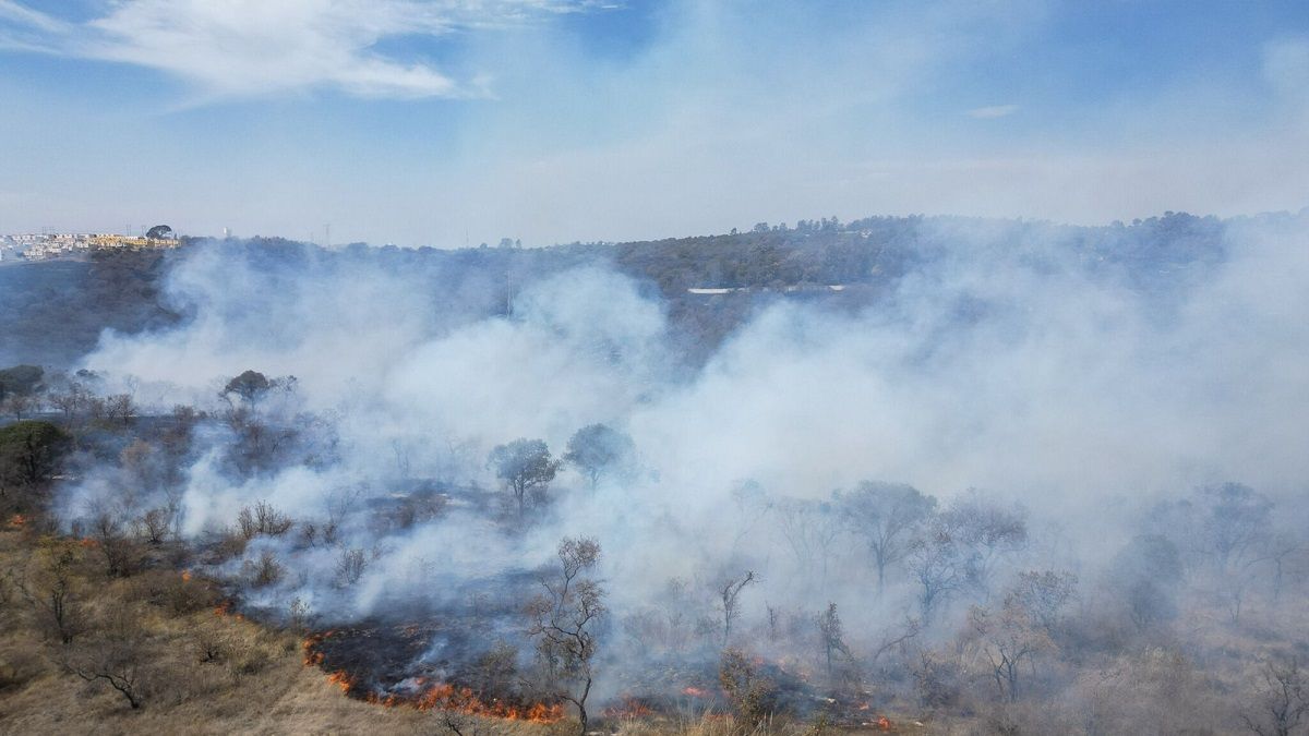 Brigadas de Zacatlán y Ahuazotepec atienden incendio forestal en Tetela