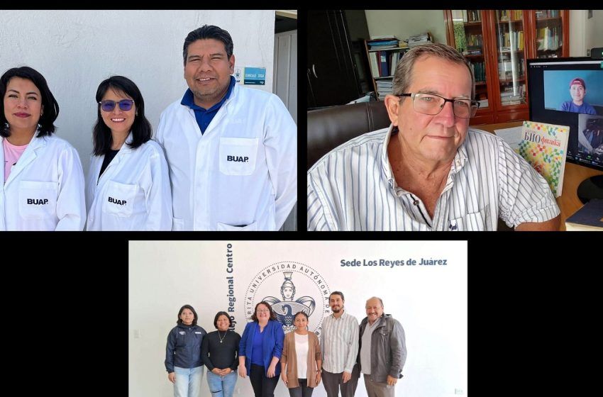  Con modelos matemáticos, investigadores BUAP buscan controlar plagas y minimizar daños al suelo