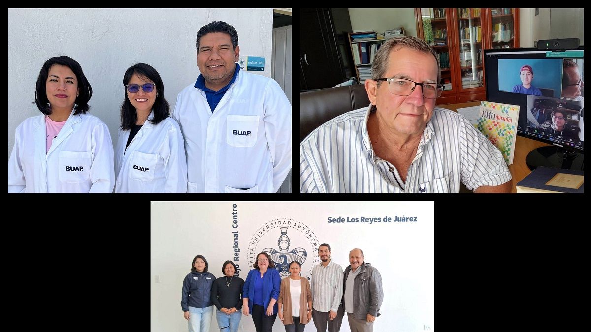 Con modelos matemáticos, investigadores BUAP buscan controlar plagas y minimizar daños al suelo
