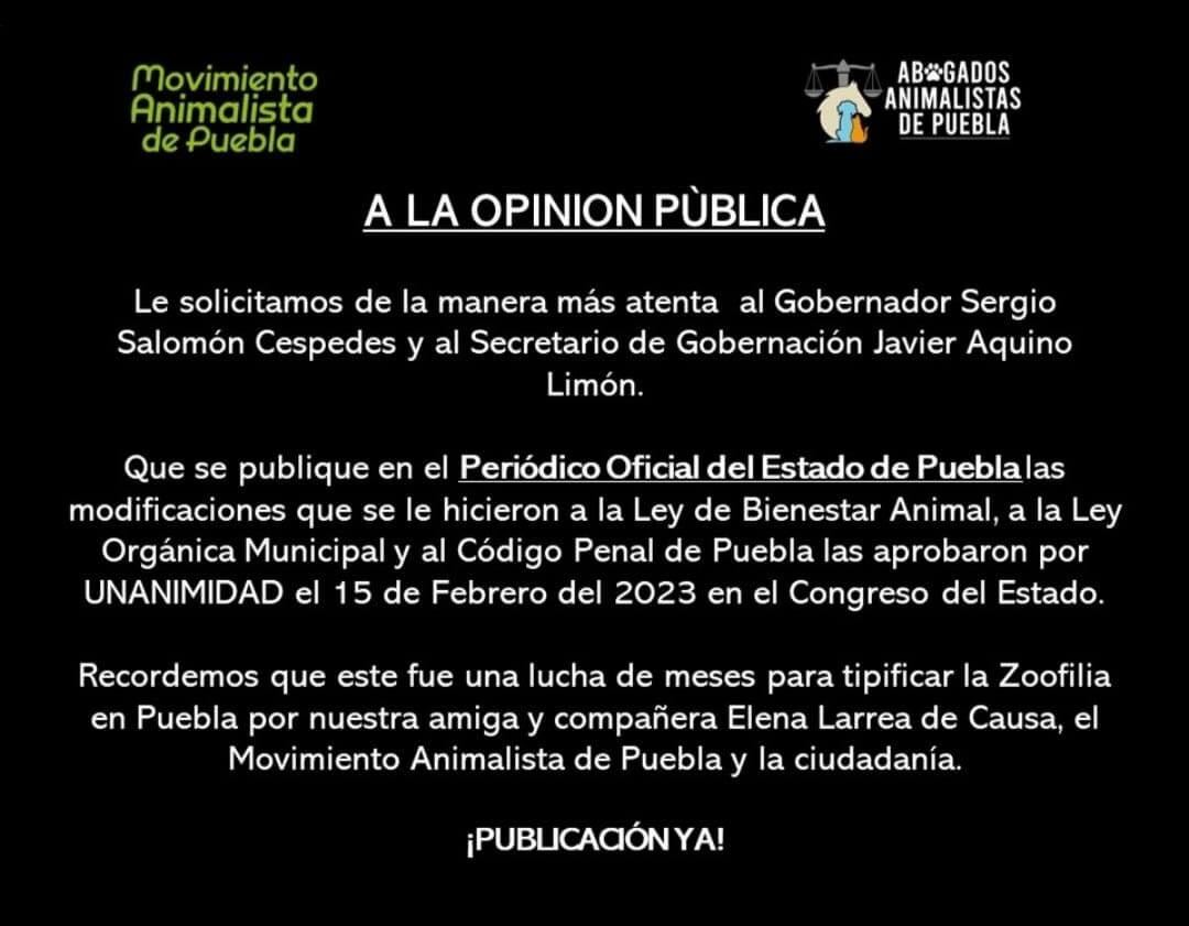 Publican en el Periódico Oficial penas de 4 años por zoofilia en Puebla   