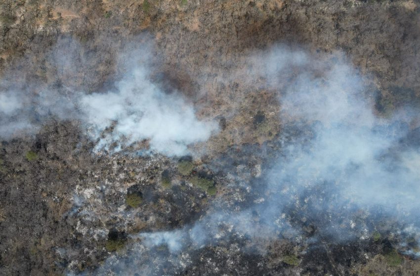  Liquidados nueve de 12 incendios registrados en Puebla