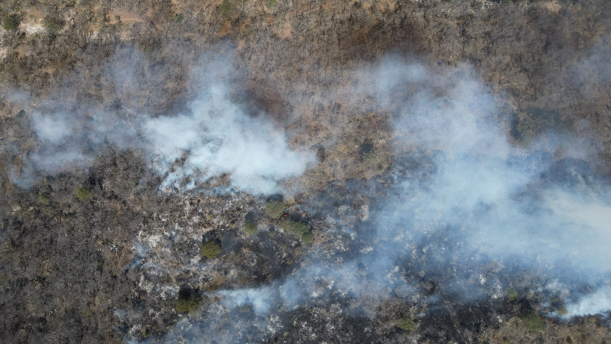 Liquidados nueve de 12 incendios registrados en Puebla