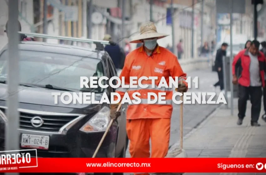  En cinco días, naranjitas recolectan 11 toneladas de ceniza volcánica