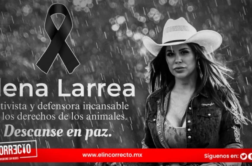  Confirma Sergio Salomón muerte de Elena Larrea; caballos estarán al resguardo del gobierno