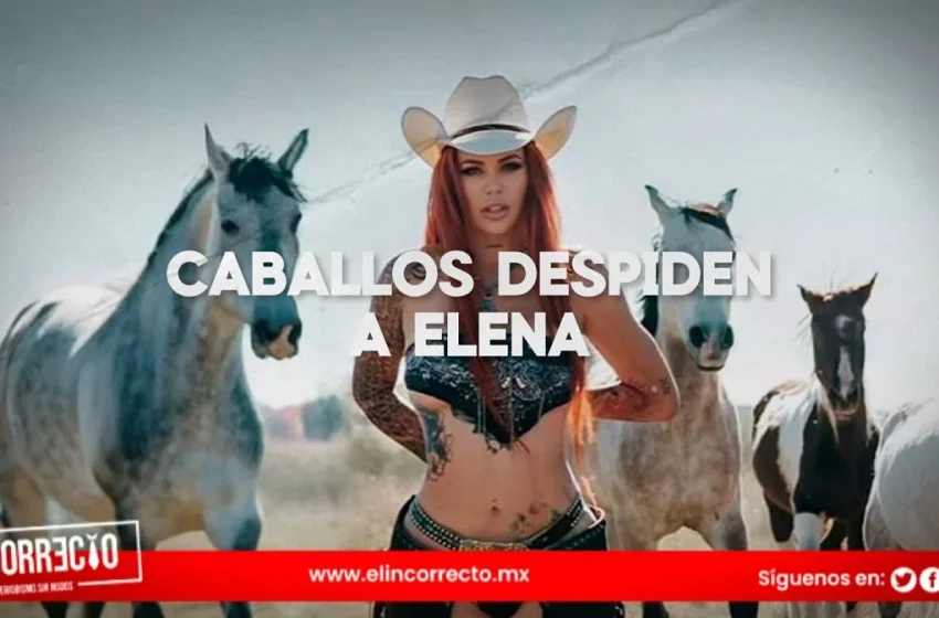  Caballos de Cuacolandia dan emotiva despedida a Elena Larrea (+VIDEO)