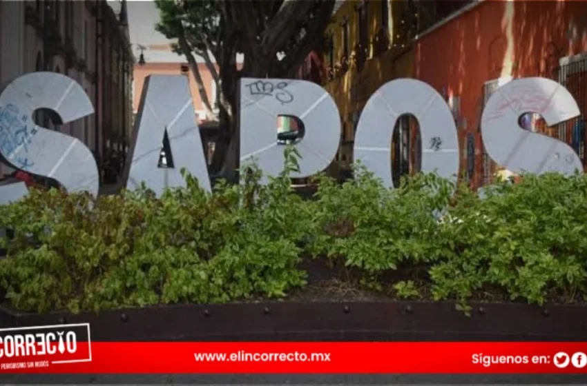  Letras de Los Sapos reciben mantenimiento: Ayuntamiento de Puebla