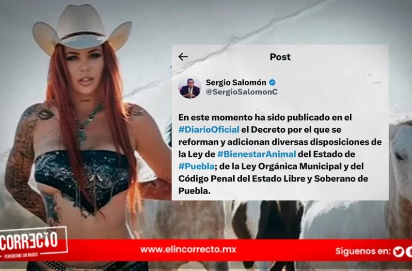  Publican en el Periódico Oficial penas de 4 años por zoofilia en Puebla  