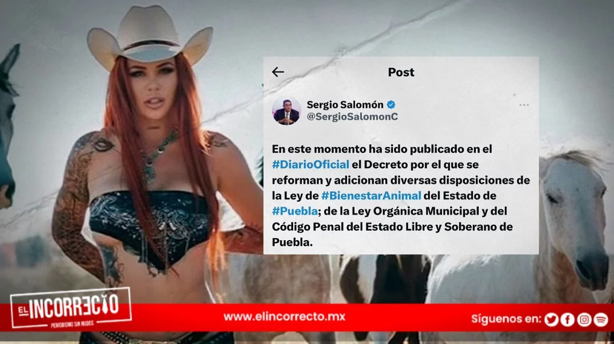 Publican en el Periódico Oficial penas de 4 años por zoofilia en Puebla