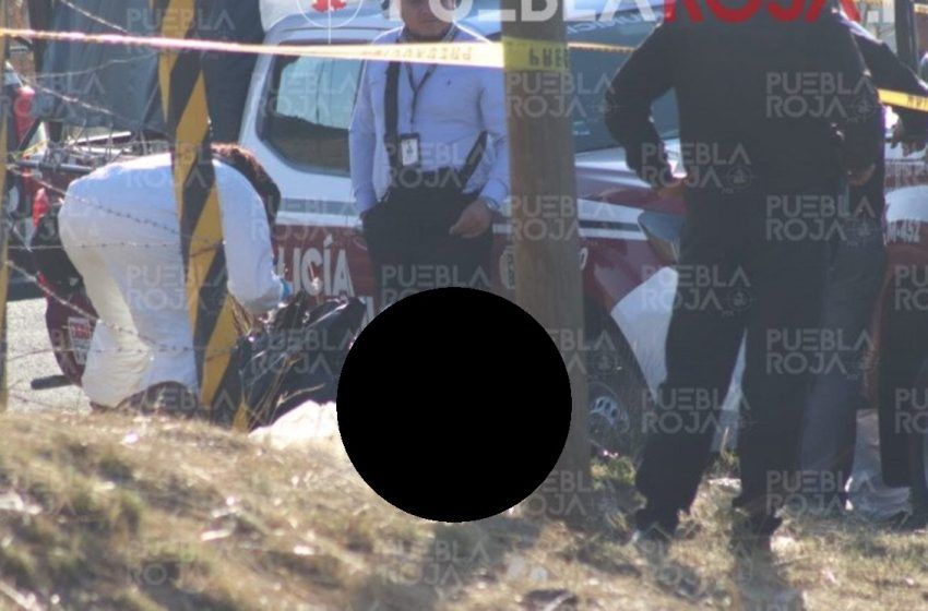  Misterio y Violencia: Identifican al Desmembrado de Tlacaele como Trabajador del Elusivo Tiburón