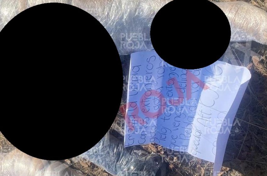  ¡Escalofriante Hallazgo! Tres Cuerpos con Mensaje Amenazante Descubiertos en Ruta a Santa Cruz Alpuyeca