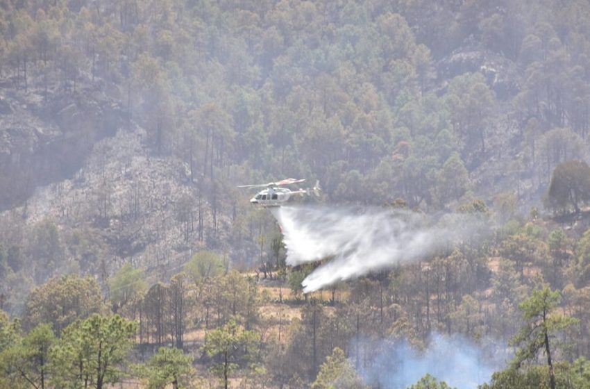  Brigadas Coyote trabajan para controlar incendio en Tehuatzingo, Guadalupe Victoria y Rancho Viejo