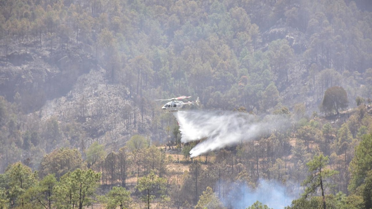 Brigadas Coyote trabajan para controlar incendio en Tehuatzingo, Guadalupe Victoria y Rancho Viejo