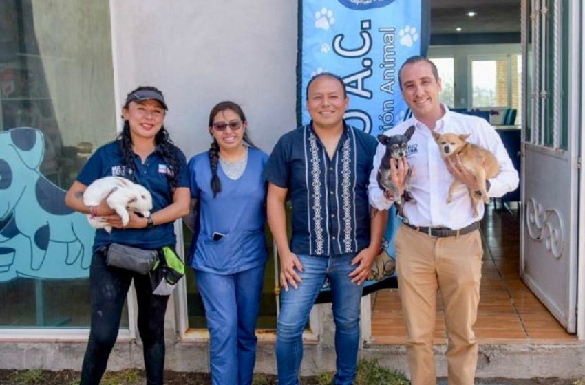  Con 10 nuevos parques caninos, Puebla será la ciudad más amigable del país: Mario Riestra