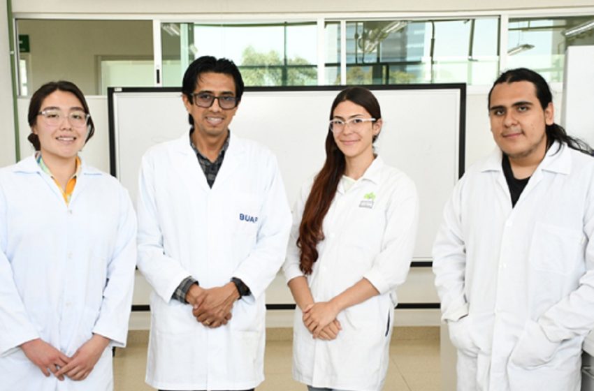  El estrés de las plantas y el nuevo virus del jitomate, temas de estudio en el Laboratorio de Cultivo de Tejidos Vegetales