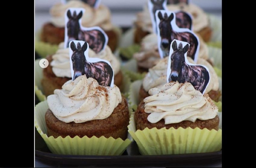  Tienda de postres en Puebla vende cupcakes para apoyar a Cuacolandia