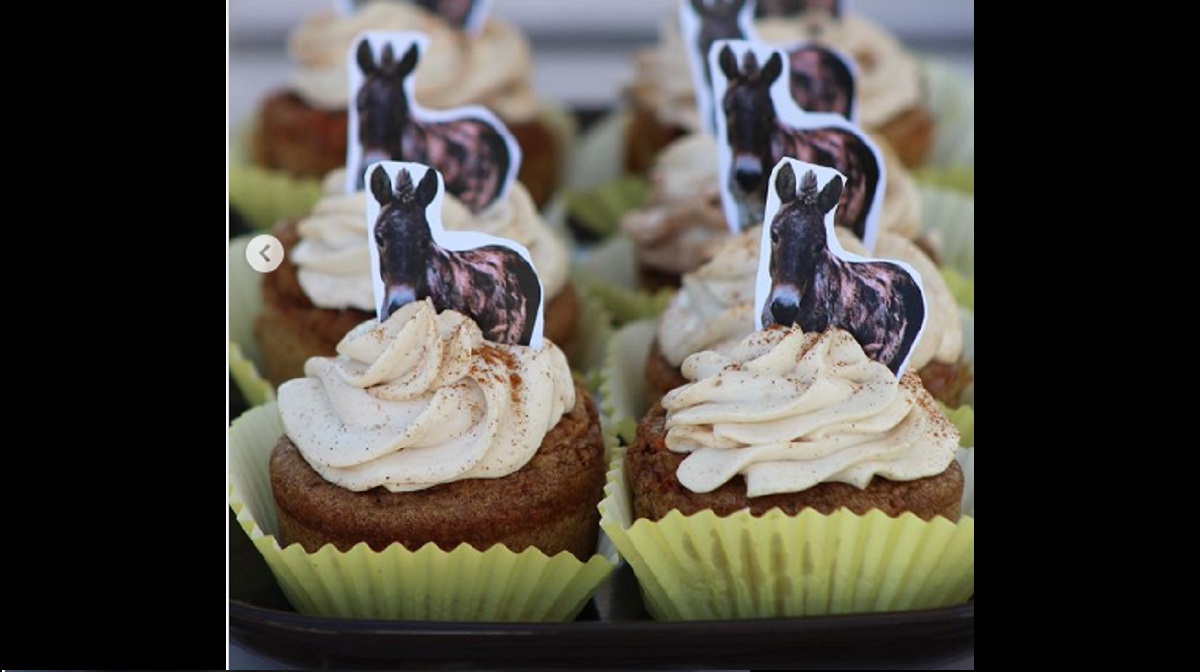 Emprendimiento vende postres para donar el 100% a Cuacolandia