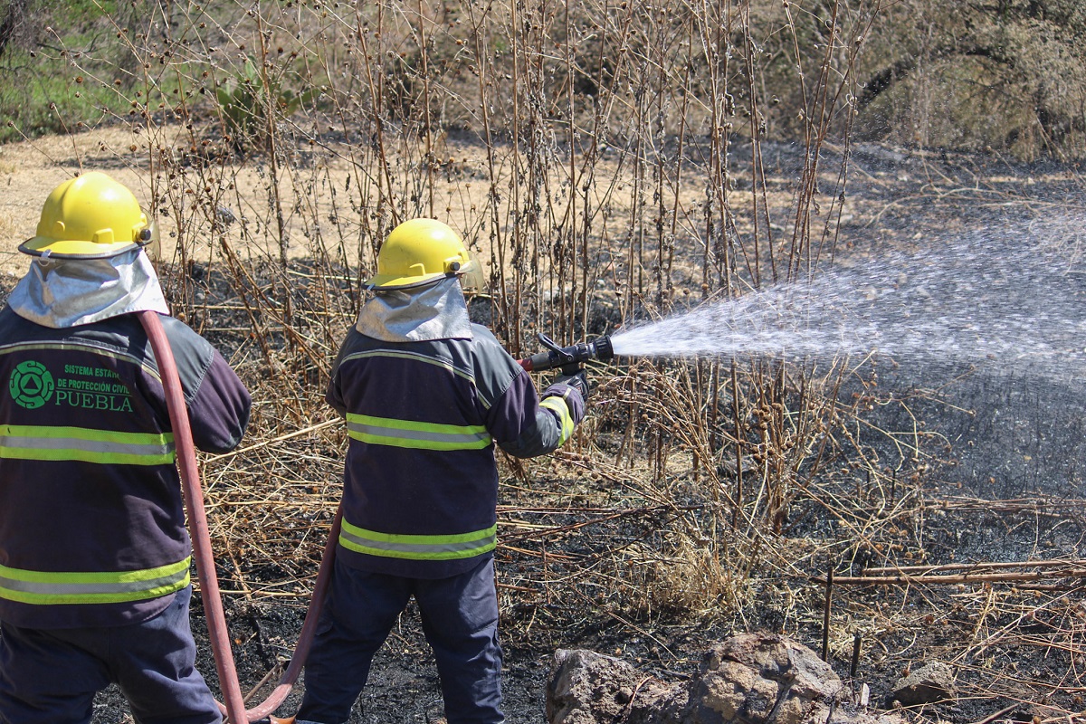 90% de los incendios son provocados, la capital es la más afectada: Protección Civil