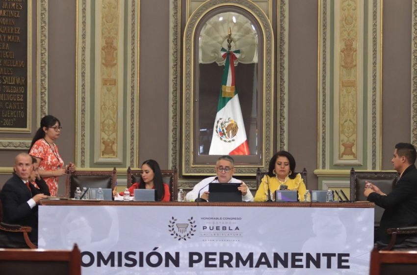  Impulsan en el Congreso iniciativas y puntos de acuerdo en materia de bienestar animal