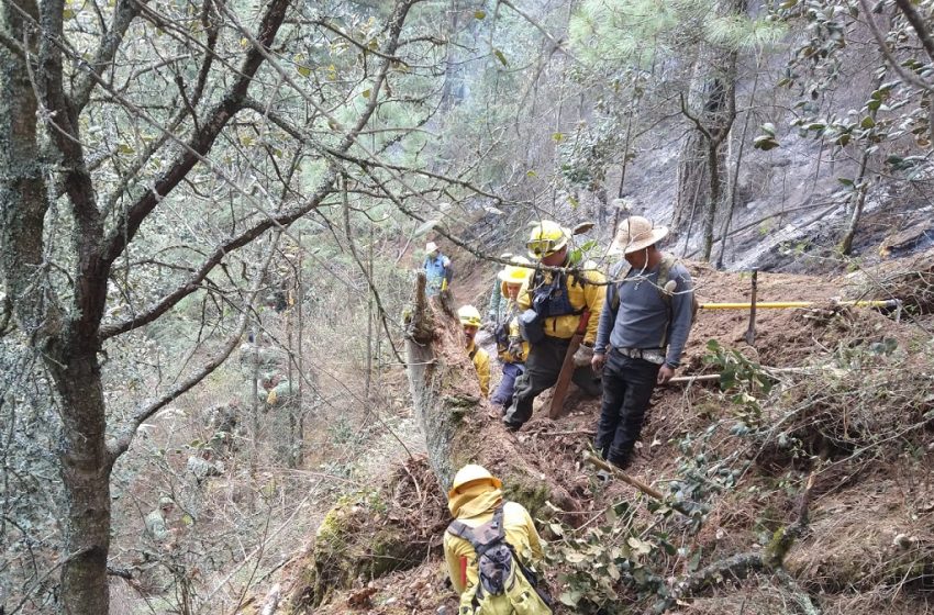  Liquidan al 90 por ciento incendio en Libres