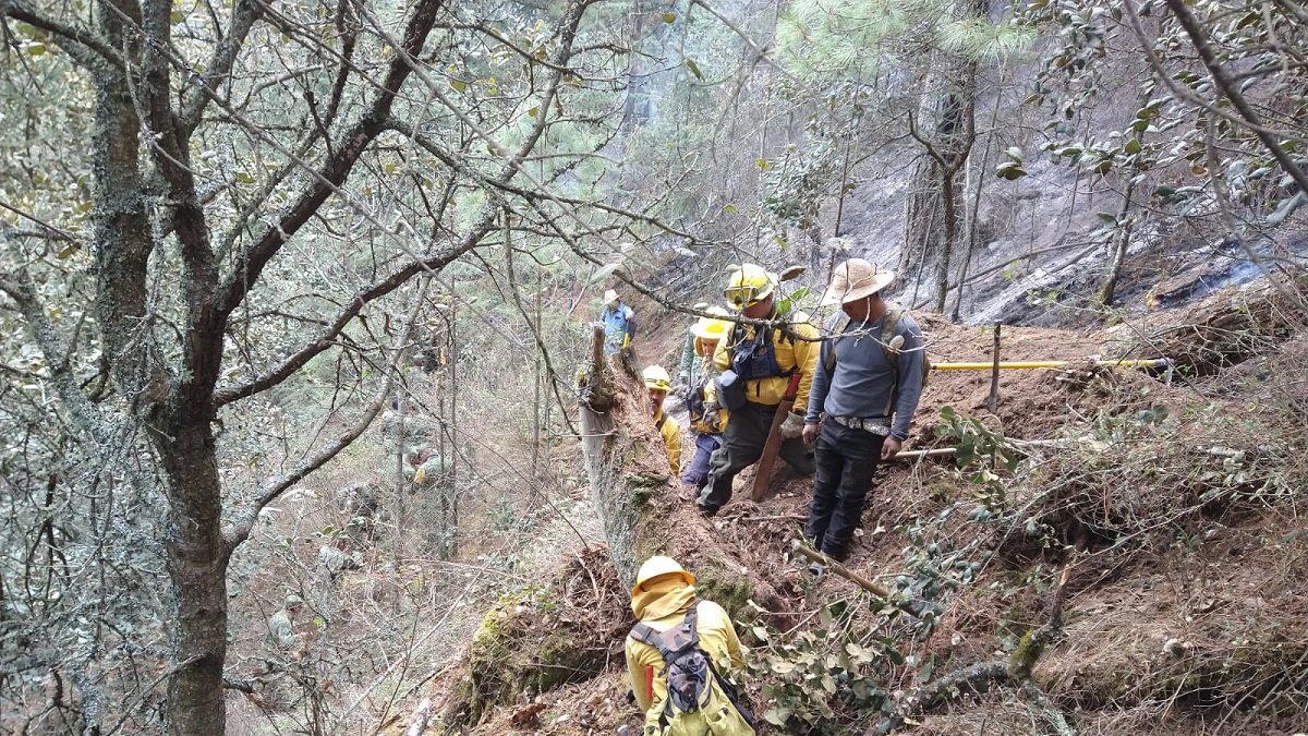 Liquidan al 90 por ciento incendio en Libres