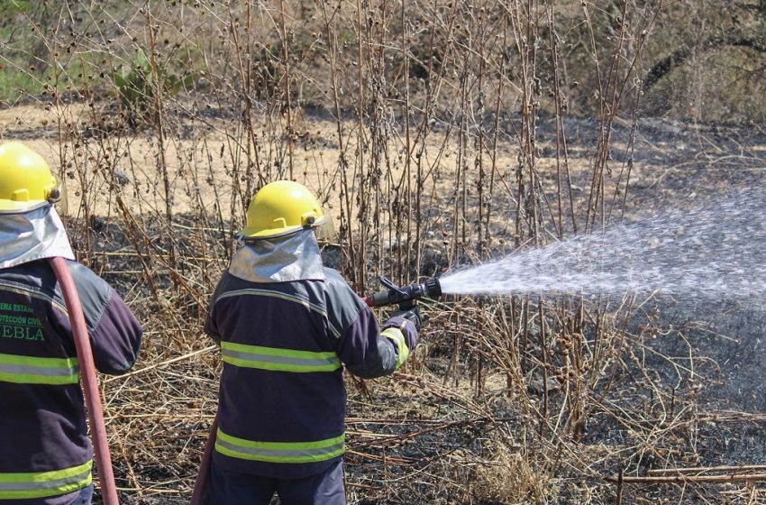  Llama PC Estatal a seguir recomendaciones y prevenir incendios forestales y urbanos