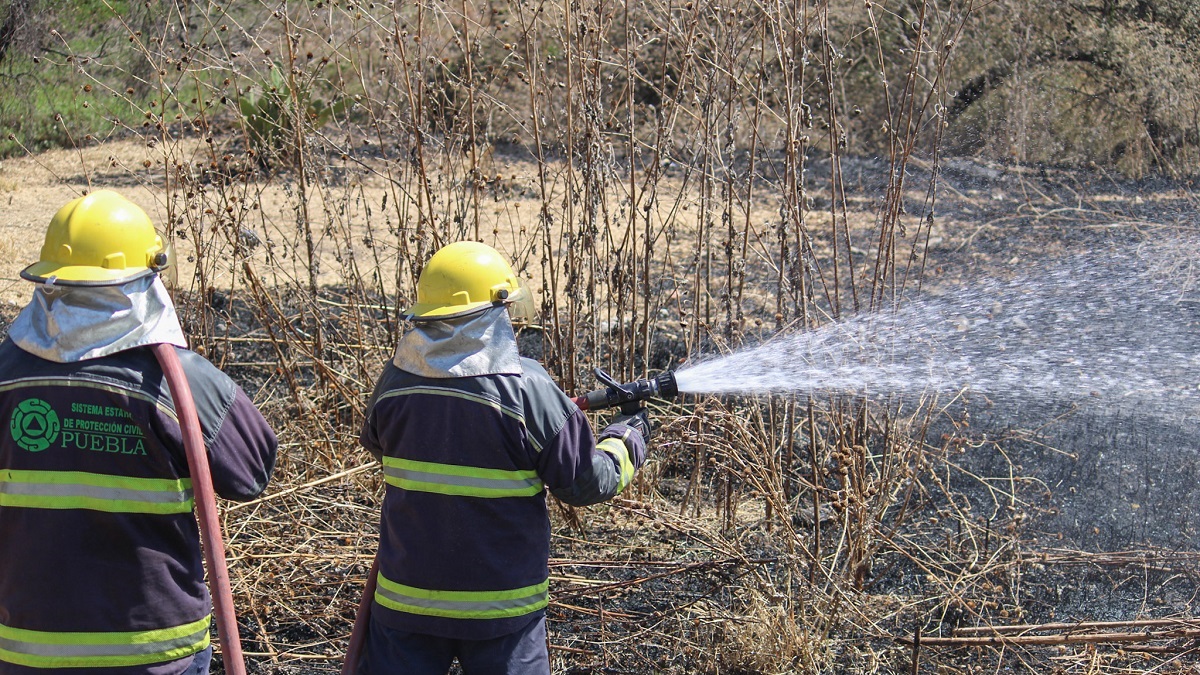 Llama PC Estatal a seguir recomendaciones y prevenir incendios forestales y urbanos